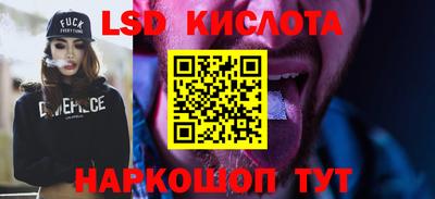 шишки Конаково