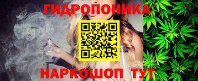 шишки Конаково