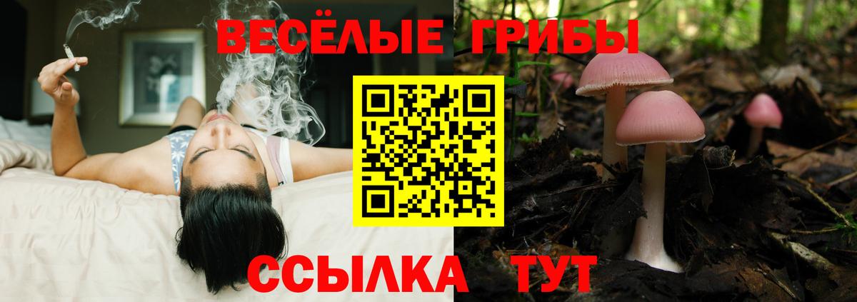 Кингисепп  Галлюциногенные грибы Psilocybine cubensis  Галлюциногенные грибы ЛСД  Вход с VPN 